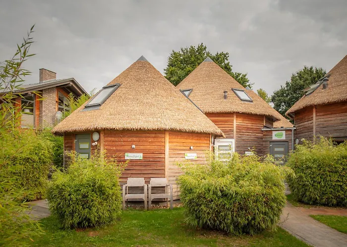 Typ C1 Mini - Mana Point 2